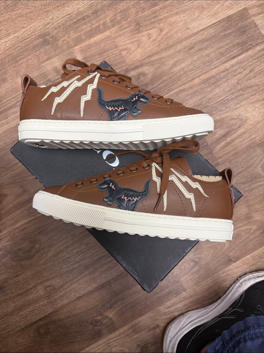 Coach Brown Leather Rexy Lightning Low-Top Sneakers